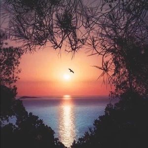 Meet your Posher, Modeline